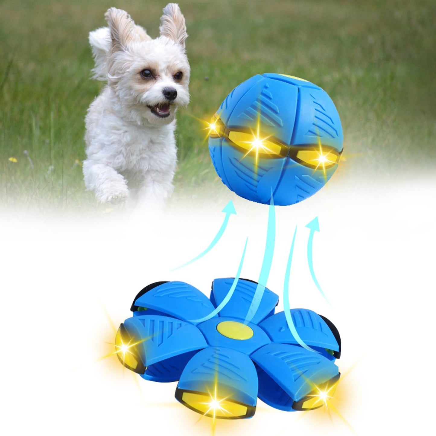 Flying Saucer Ball