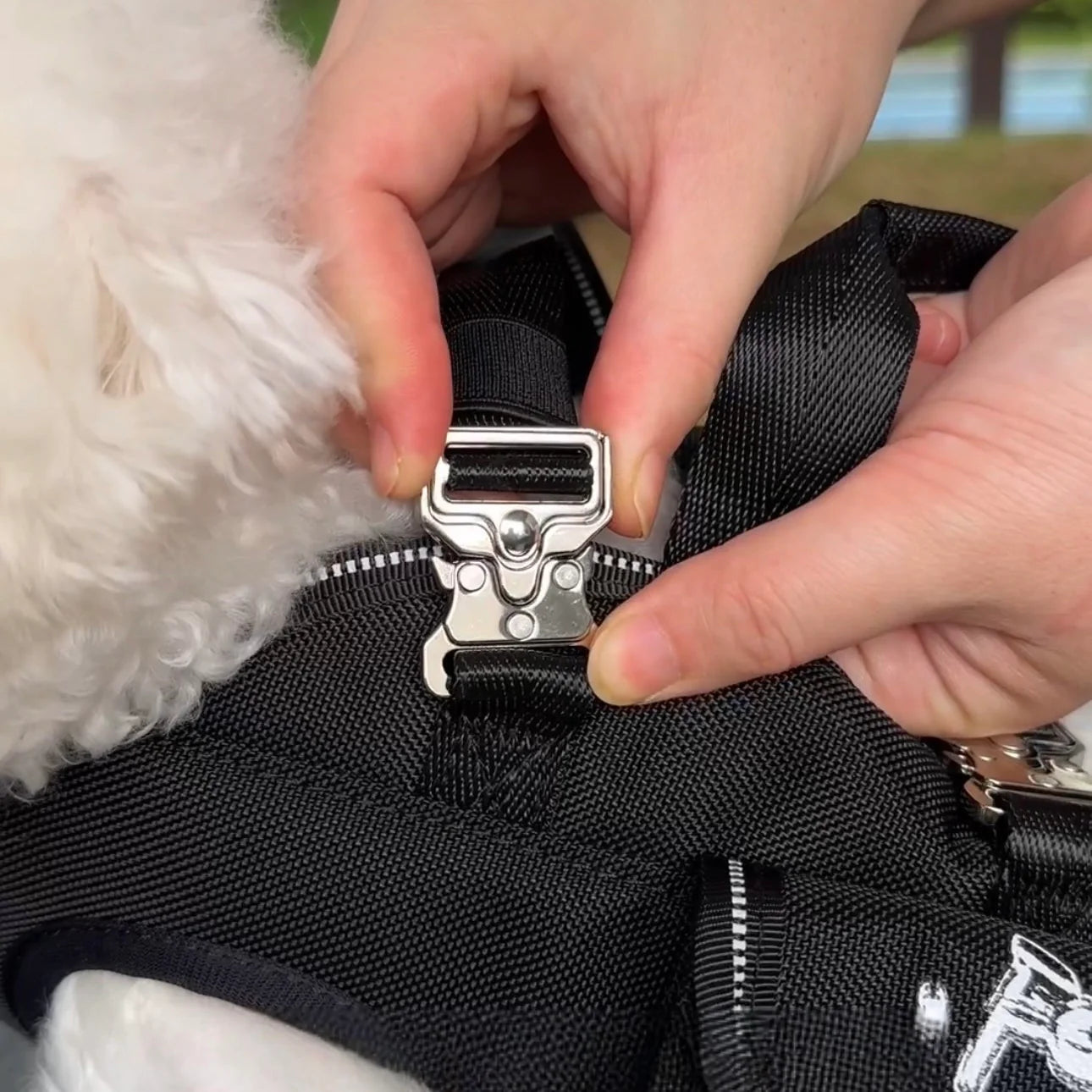 Pet Cross Carrier
