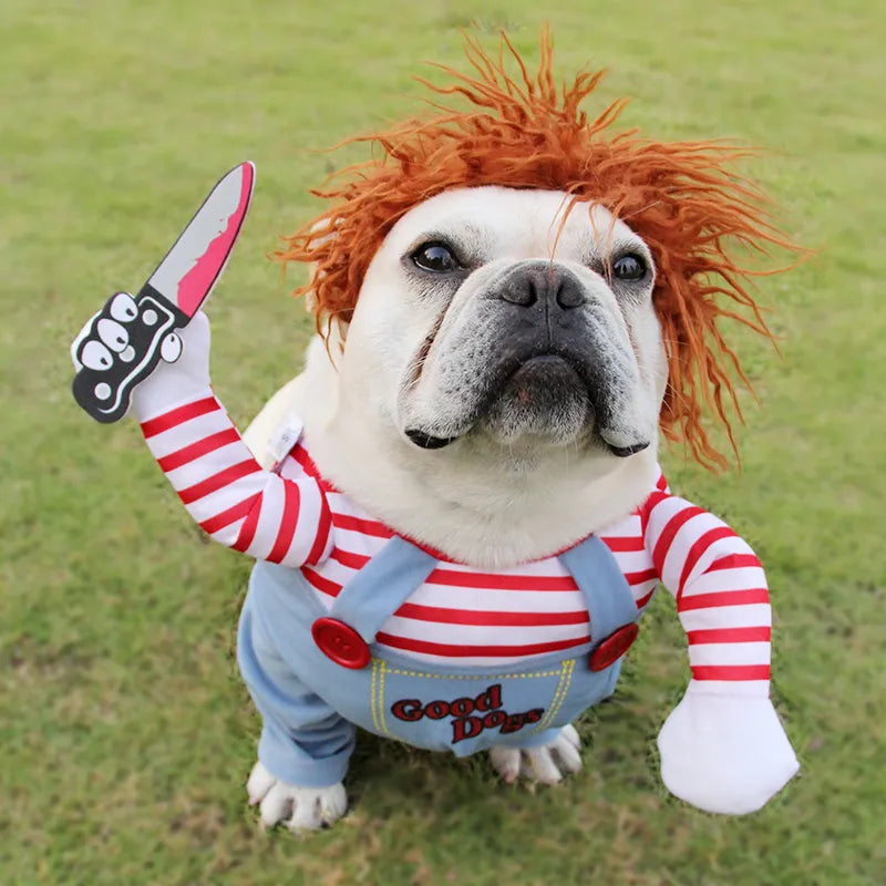 Funny Yorkie Costume