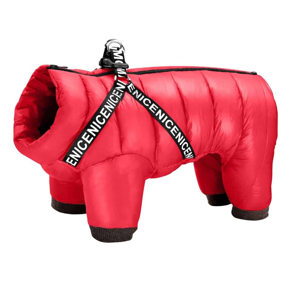 Yorkie Winter Jacket