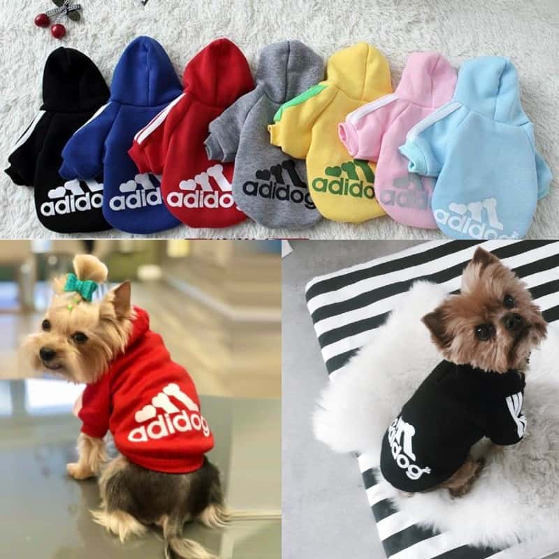 Yorkie Adidog Hoodie