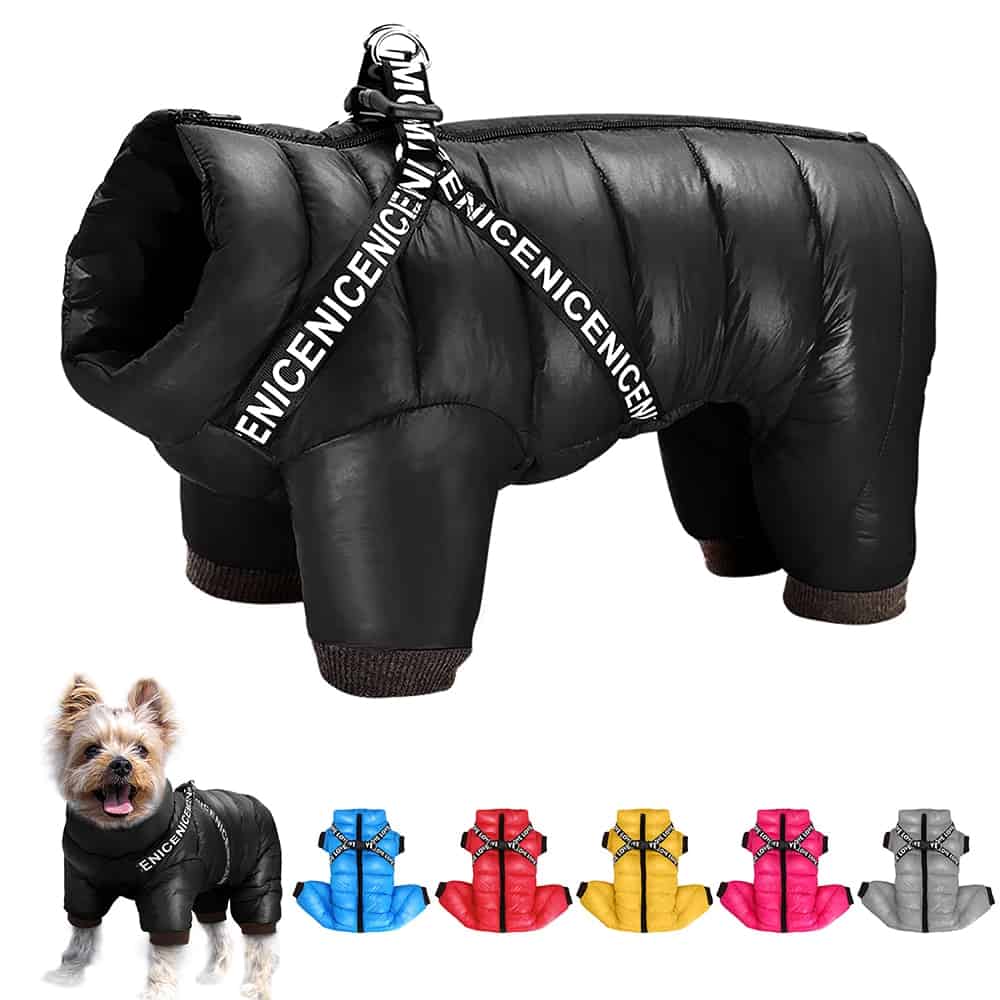 Yorkie Winter Jacket