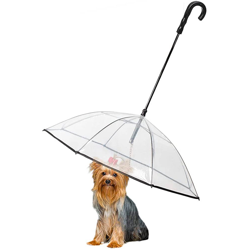 Dog under outlet umbrella