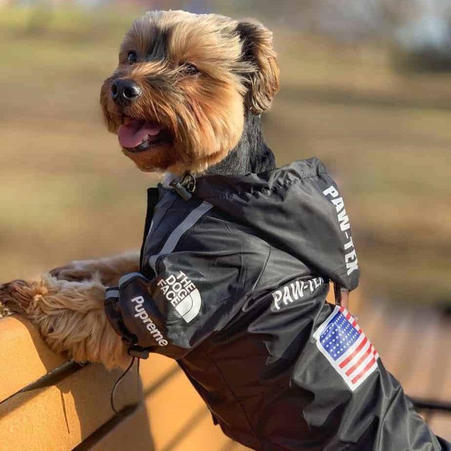 Pupreme USA Rain Jacket