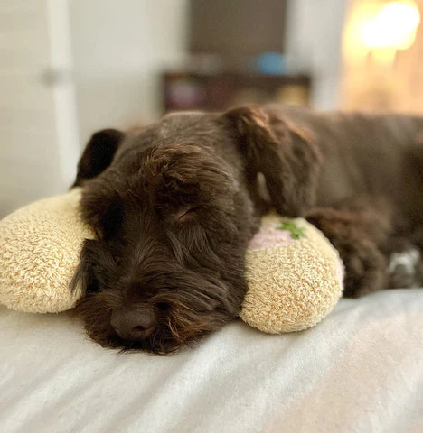 Calming Pet Pillow