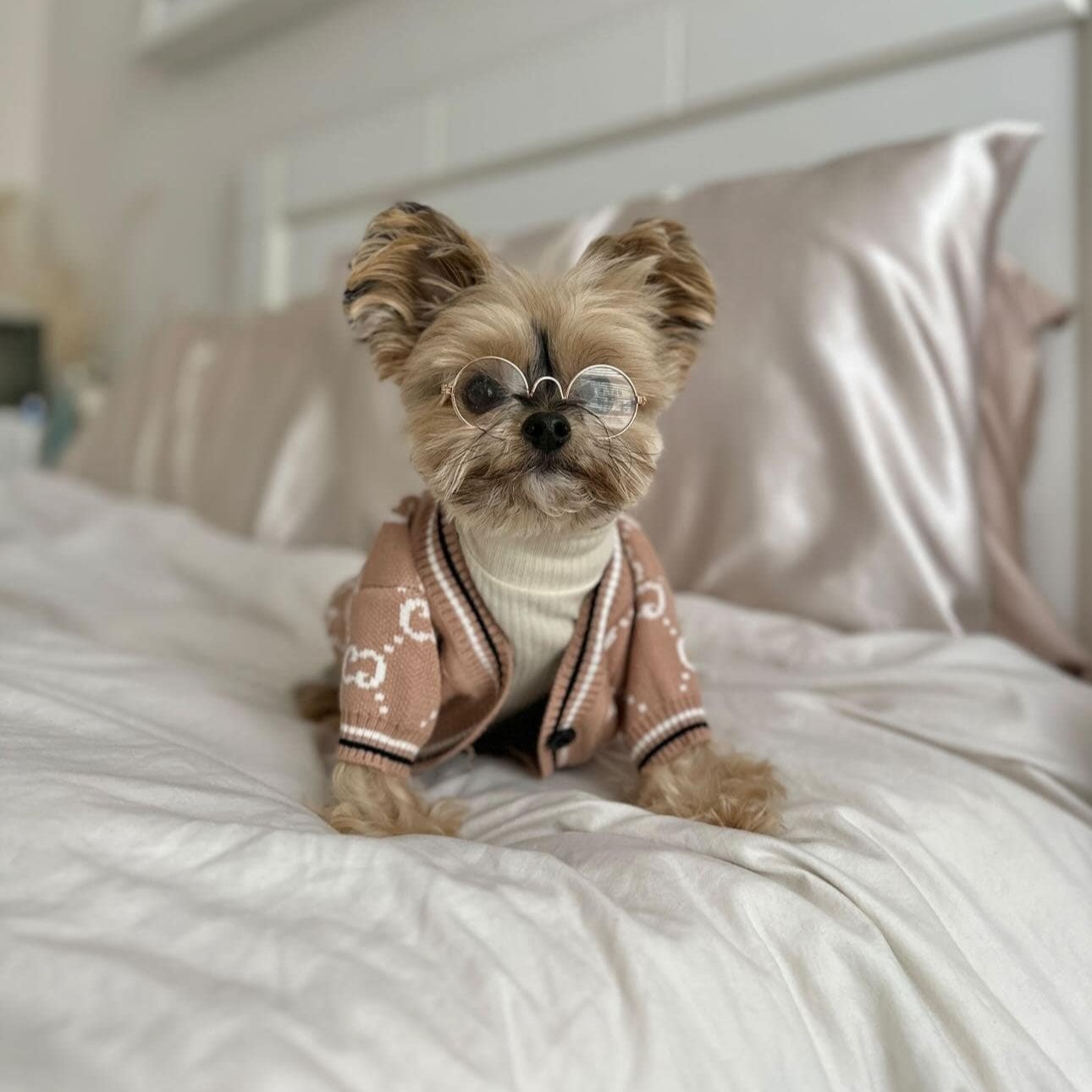 Luxury Khaki Dog Sweater