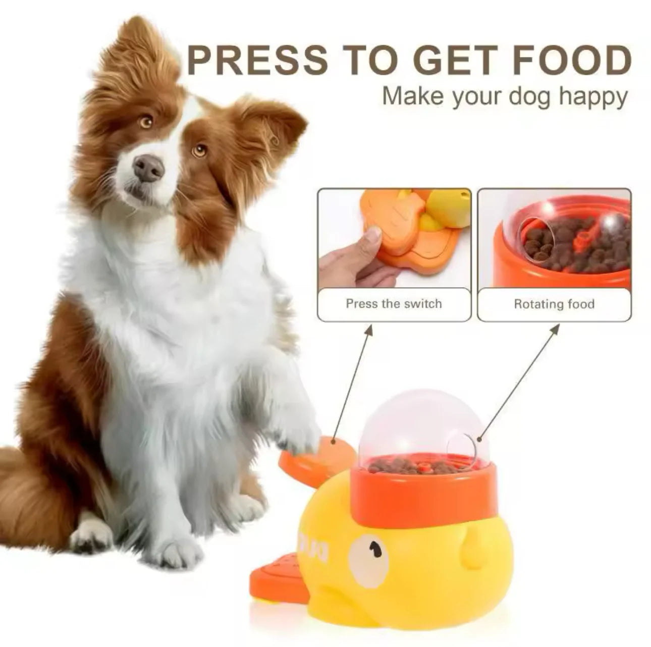 Interactive Duck Feeder