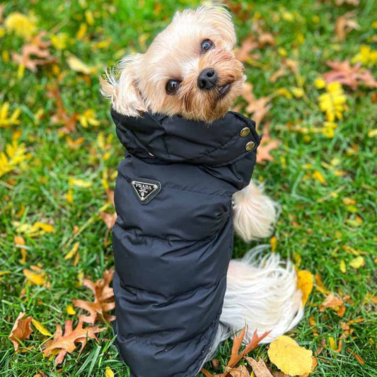 Pawda Yorkie Vest