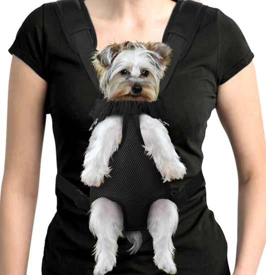 Small Dog Carrier