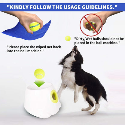 Automatic Ball Launcher for Dogs