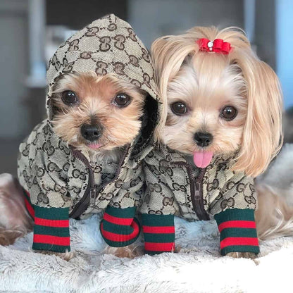 Stylish Yorkie Hoodie