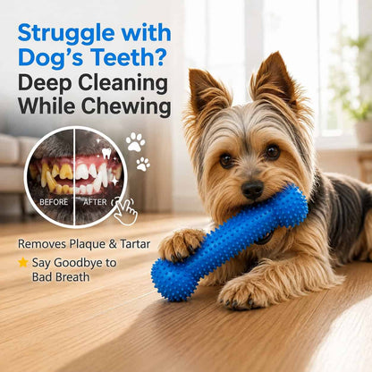 Yorkie Dental Chew Stick