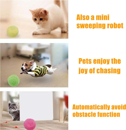 Pet Rolling Ball