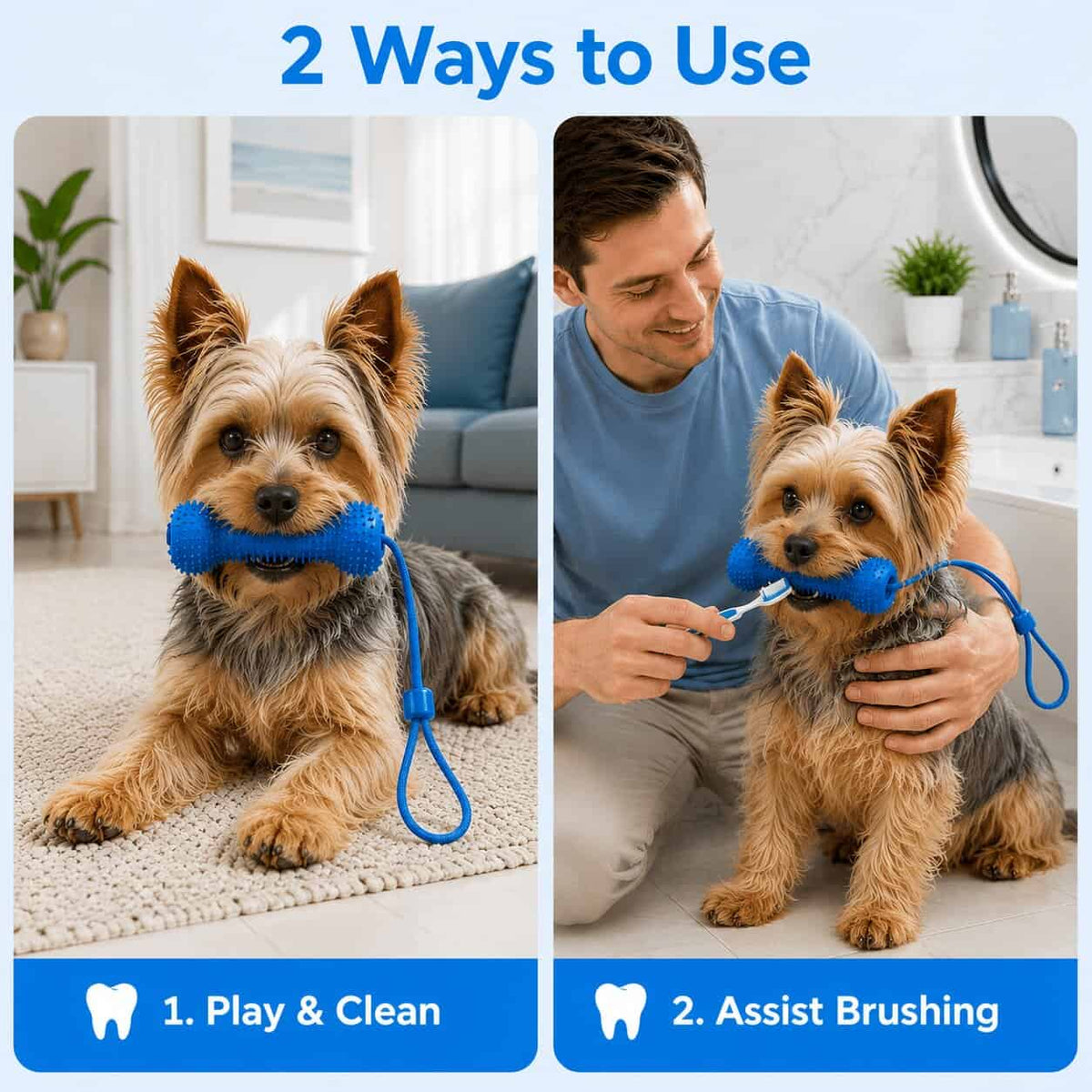 Yorkie Dental Chew Stick