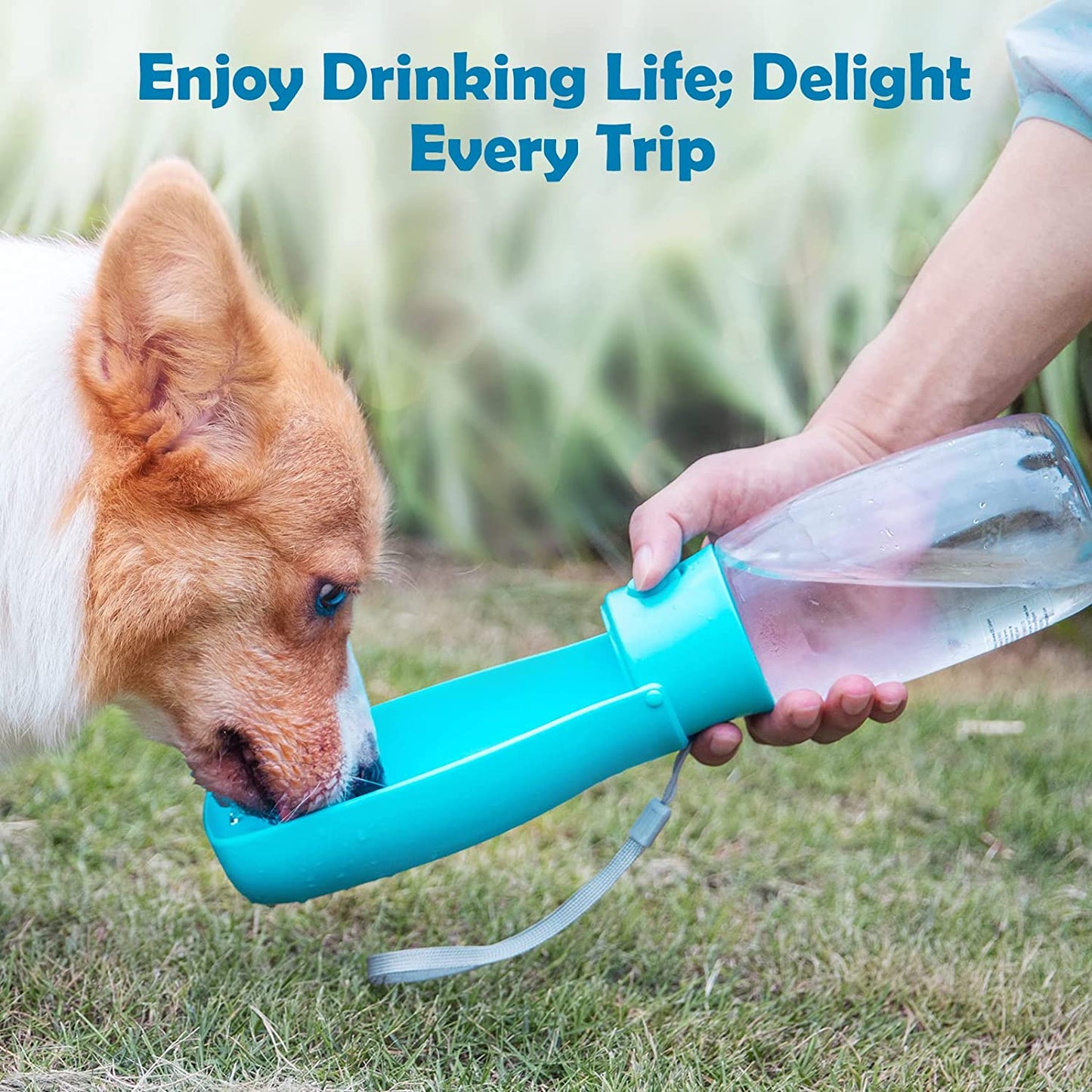 Portable Water Bottle