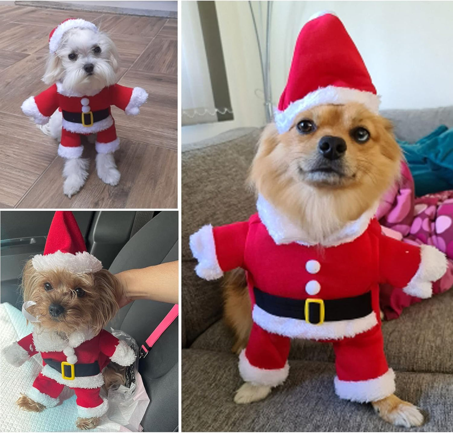 Funny Christmas Costume