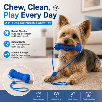 Yorkie Dental Chew Stick