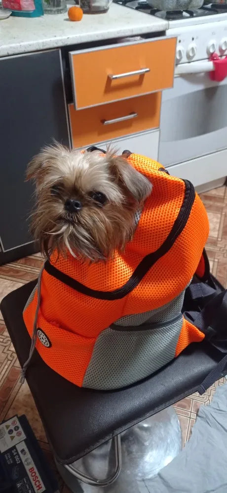 Yorkie Backpack Carrier