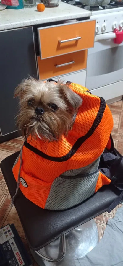 Yorkie Backpack Carrier