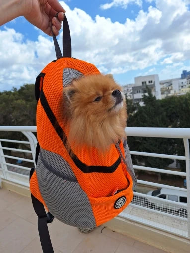 Yorkie Backpack Carrier