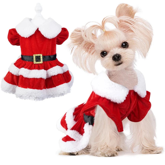 Yorkie Christmas Dress