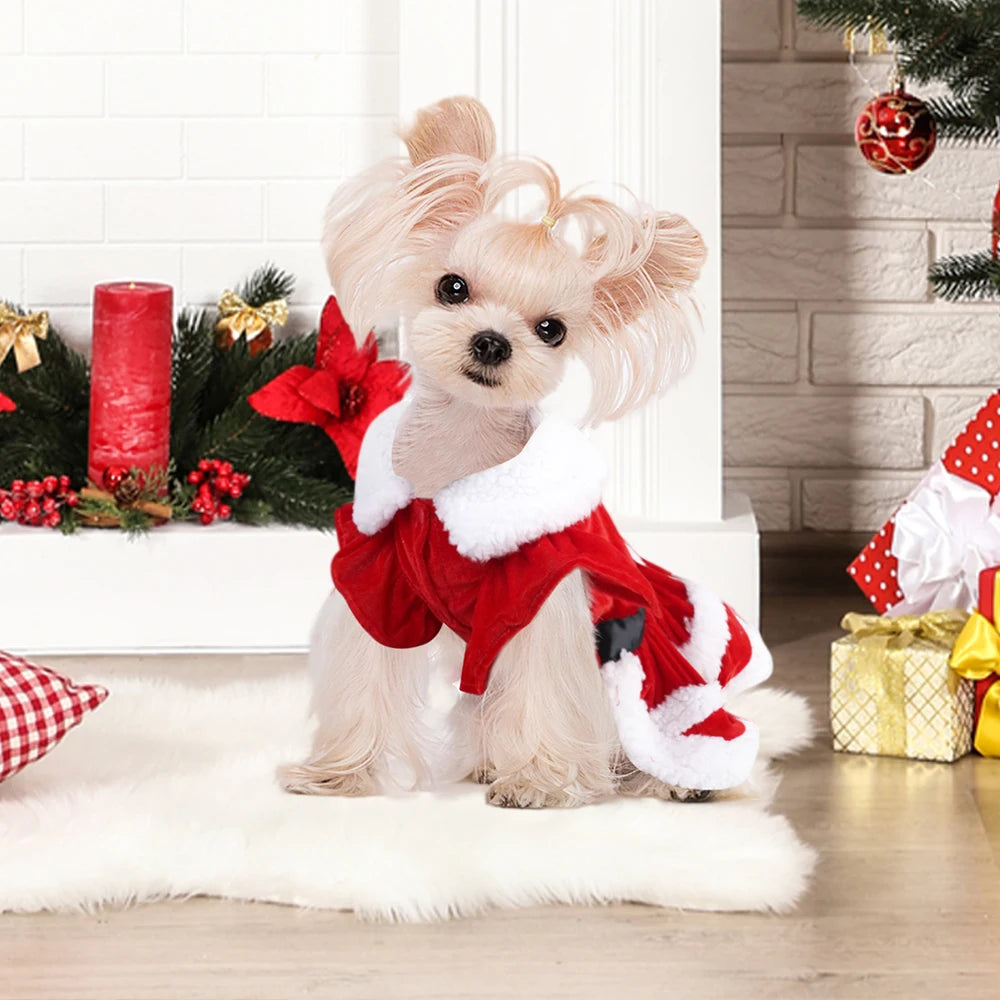 Yorkie Christmas Dress Festive Outfit for Small Dogs Yorkshire Planet Yorkie Christmas Dress Festive Outfit for Small Dogs Yorkshire Planet