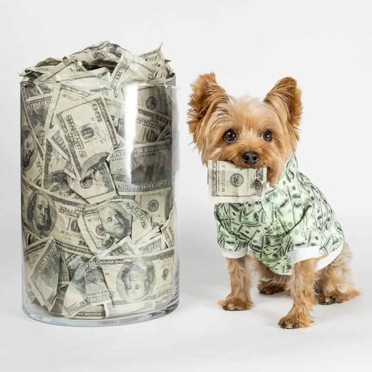 Pupreme Money Yorkie Hoodie