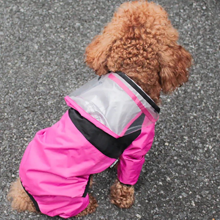 The Dog Face Raincoat