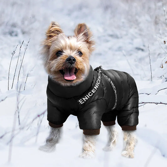 Yorkie Winter Jacket