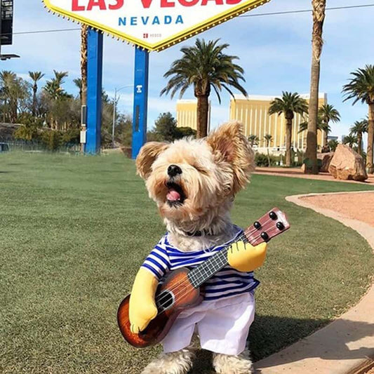 The Guitarist - Halloween Costume