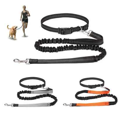 Hands Free Dog Leash