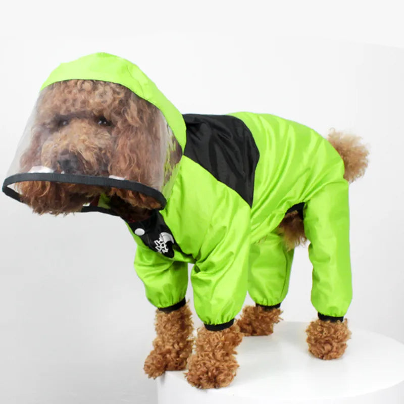 The Dog Face Raincoat