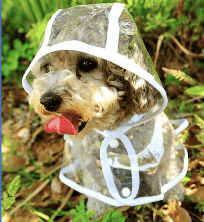 Waterproof Dog Raincoat