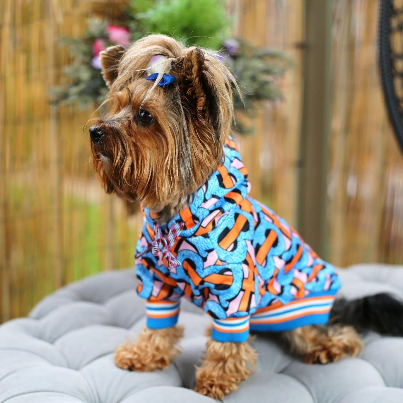 Candy Crush Yorkie Hoodie