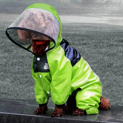 The Dog Face Raincoat