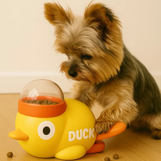 Interactive Duck Feeder