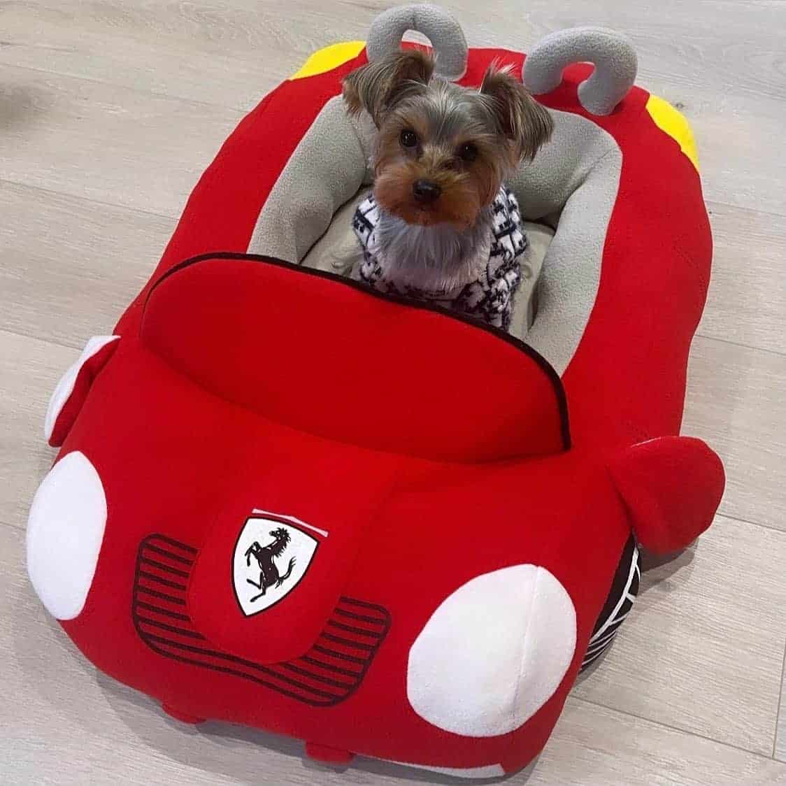 Ferrari Yorkie Bed