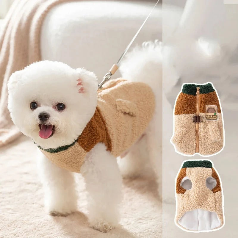 Yorkie Teddy Jacket