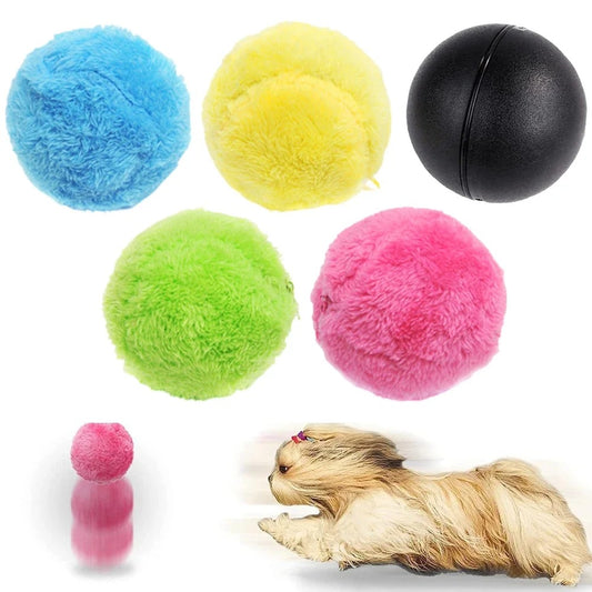 Pet Rolling Ball