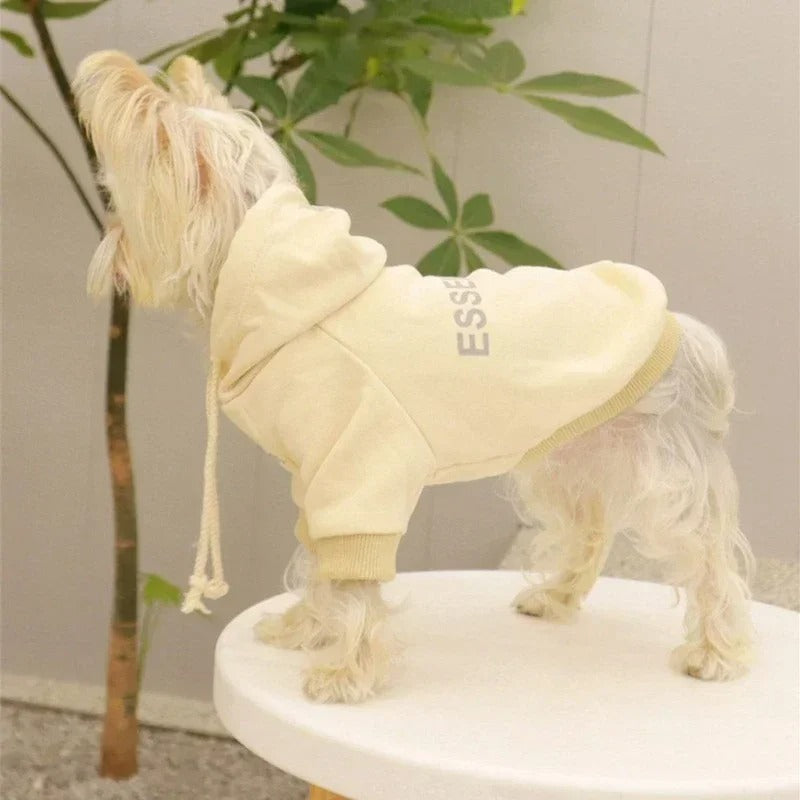 Yorkie Essentials Sweatshirt