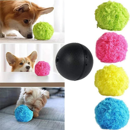 Pet Rolling Ball