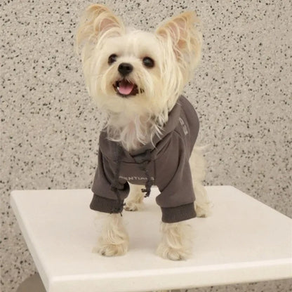 Yorkie Essentials Sweatshirt