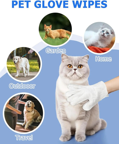 Wet Pet Gloves (6pcs)