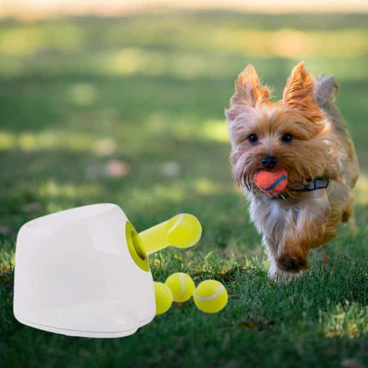 Automatic Ball Launcher for Dogs