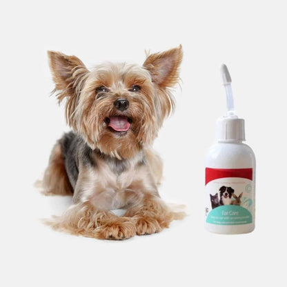 Yorkie Ear Cleaning Solution