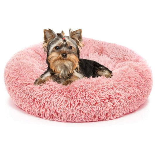 Yorkie Calming Bed