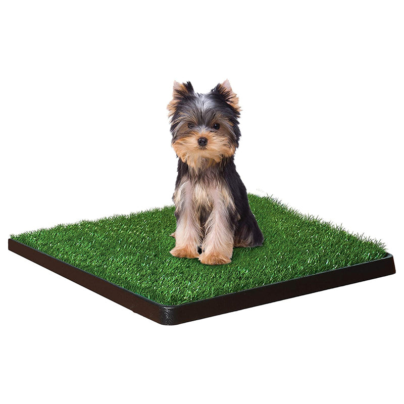 Dog turf clearance pee pad