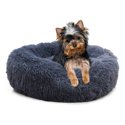 Yorkie Calming Bed