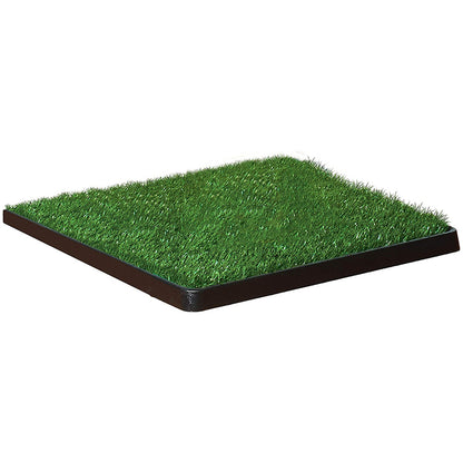 Yorkie Grass Pee Pad