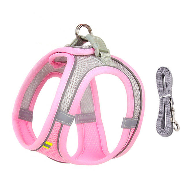 Yorkie Harness Leash Set Comfortable Secure for Your Dog Yorkshire Planet